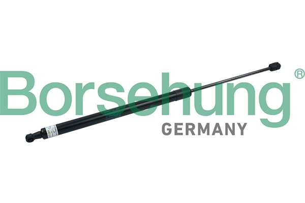 BORSEHUNG B18458