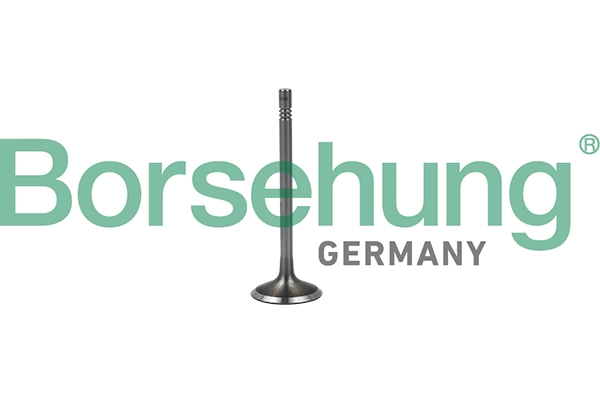 BORSEHUNG B19023
