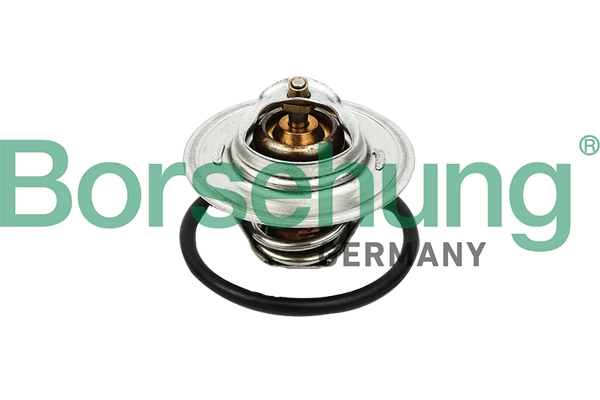 BORSEHUNG B13140