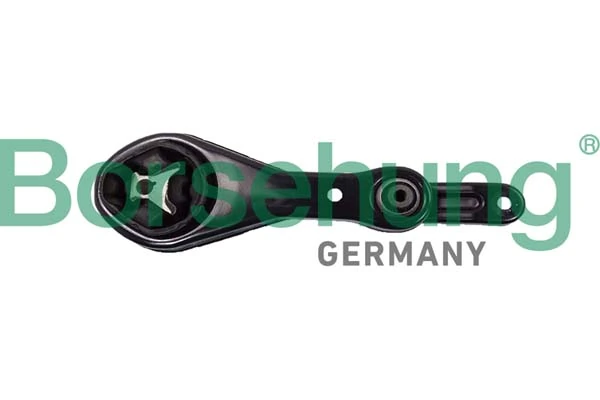 BORSEHUNG B10038