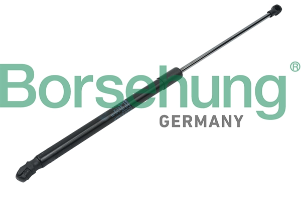 BORSEHUNG B14191