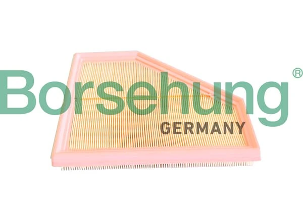 BORSEHUNG B12292