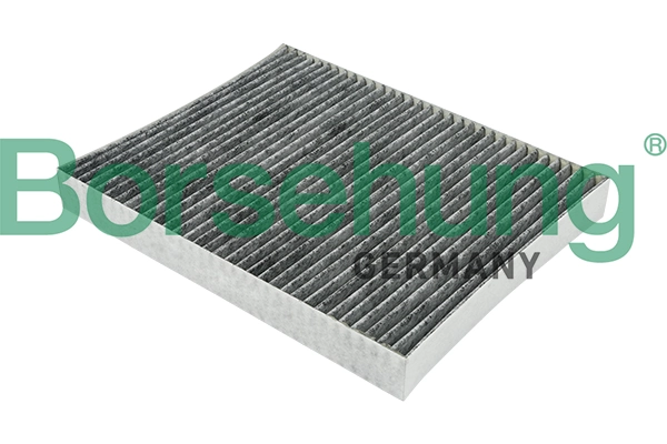 BORSEHUNG B12799