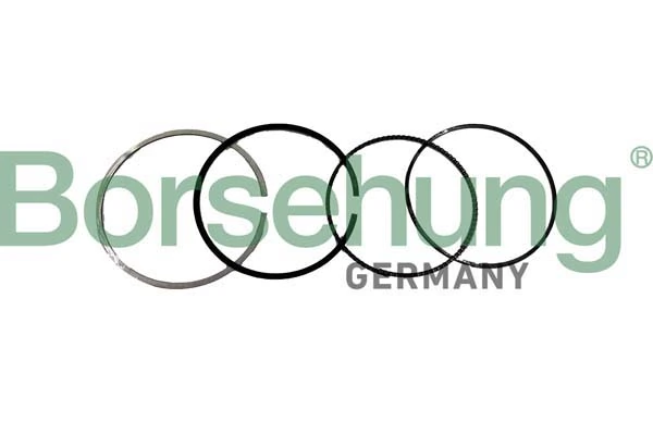 BORSEHUNG B10371