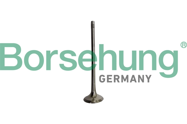 BORSEHUNG B10335
