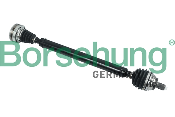 BORSEHUNG B18324