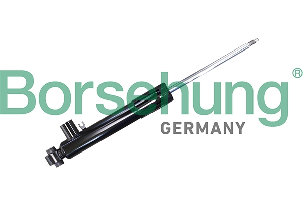 BORSEHUNG B11179