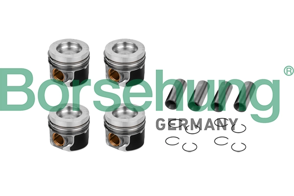 BORSEHUNG B11132