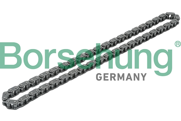 BORSEHUNG B1C010