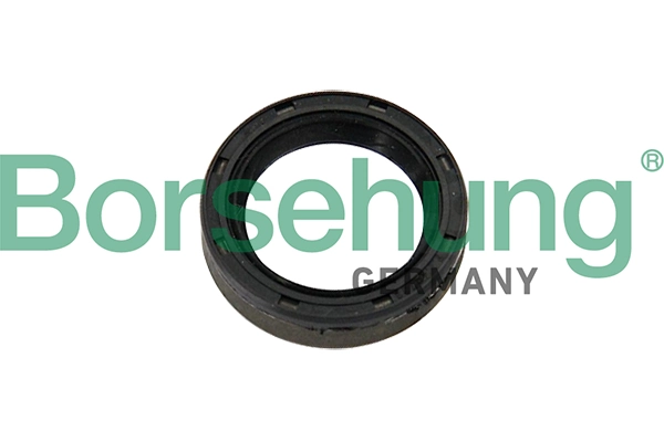 BORSEHUNG B12192