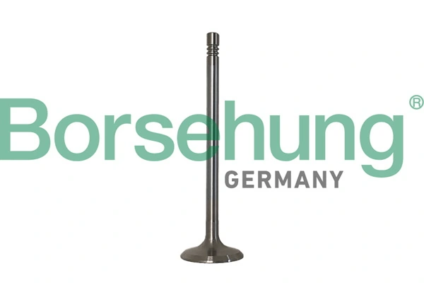 BORSEHUNG B10347