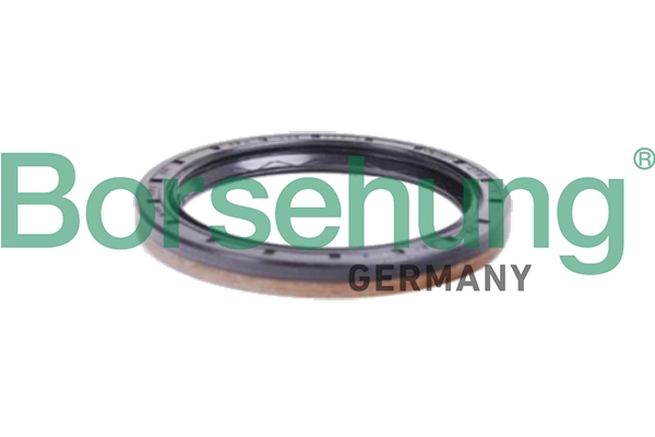 BORSEHUNG B12197