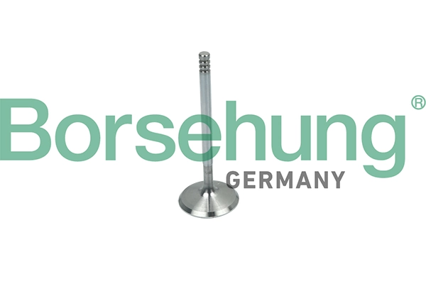BORSEHUNG B19018