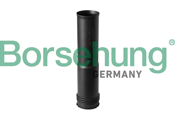 BORSEHUNG B10154