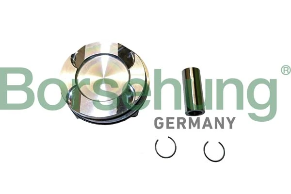 BORSEHUNG B11146