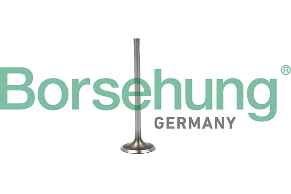 BORSEHUNG B19015