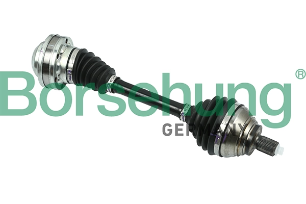 BORSEHUNG B18425