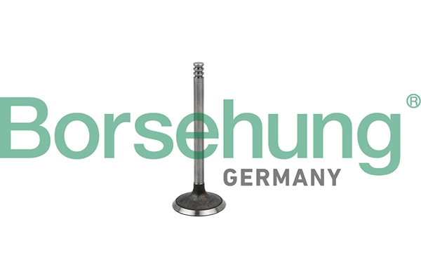 BORSEHUNG B19029