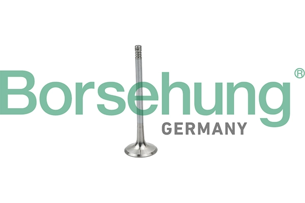 BORSEHUNG B19025