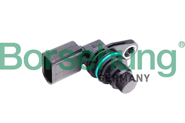 BORSEHUNG B11859