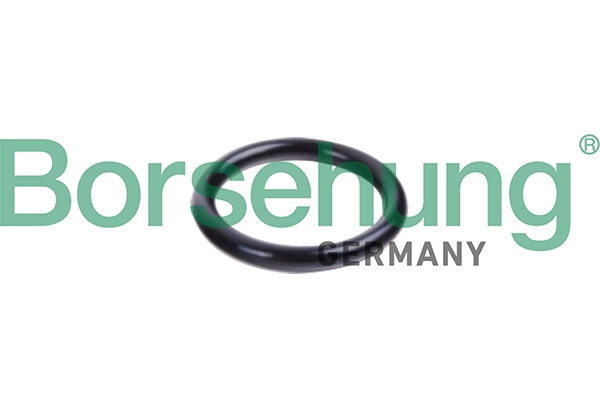 BORSEHUNG B10632