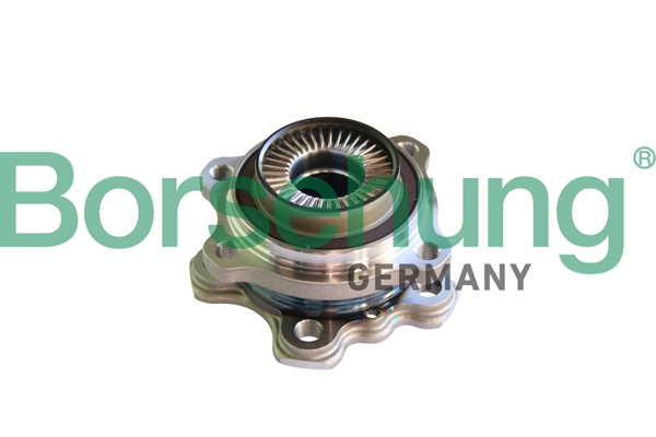 BORSEHUNG B11293