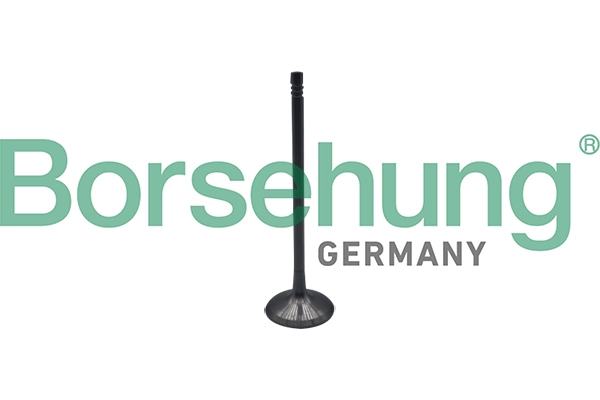 BORSEHUNG B10323