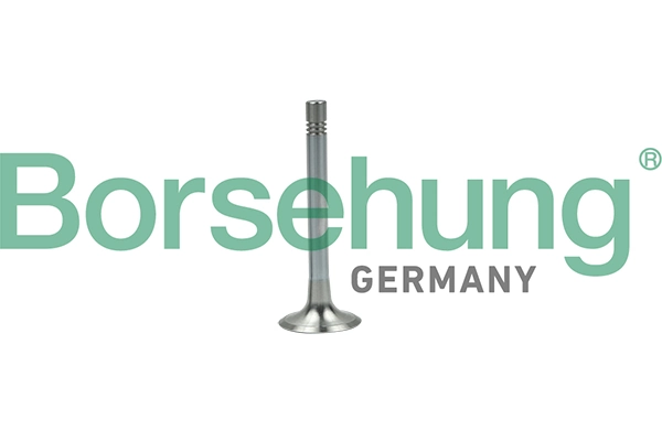 BORSEHUNG B19003