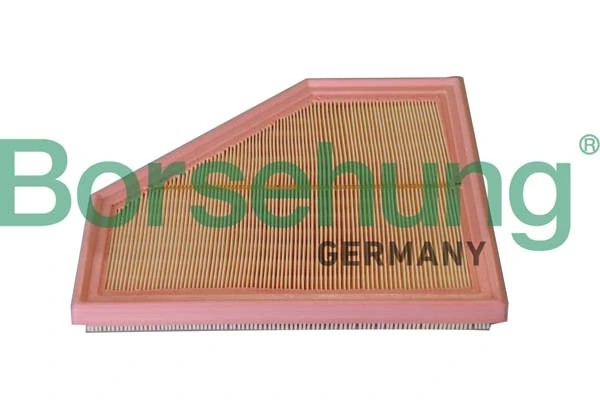 BORSEHUNG B12291