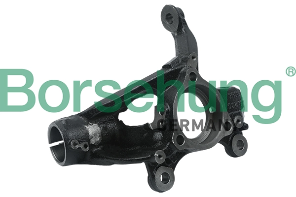 BORSEHUNG B18508