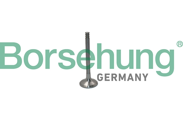 BORSEHUNG B19012