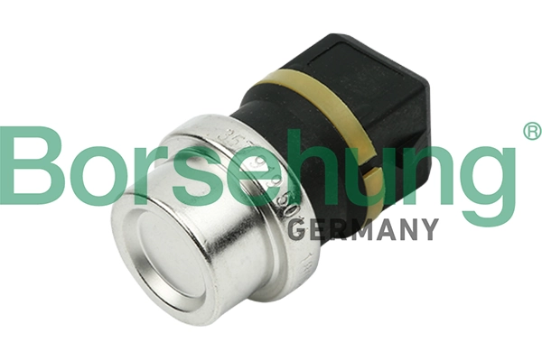 BORSEHUNG B13134