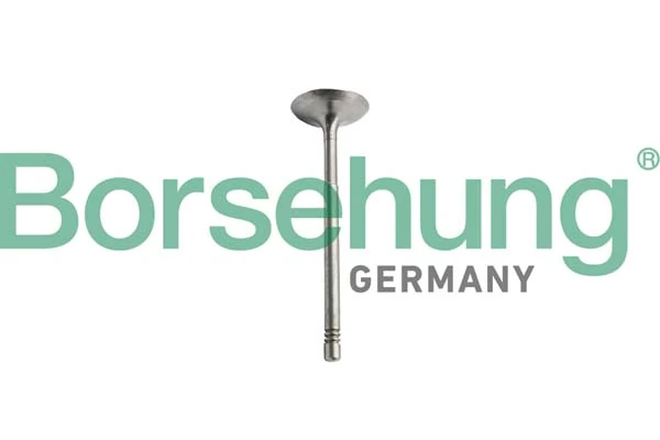 BORSEHUNG B10351