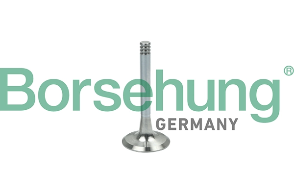 BORSEHUNG B19002