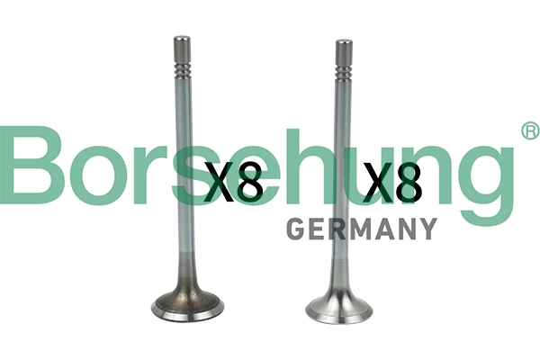 BORSEHUNG B18628