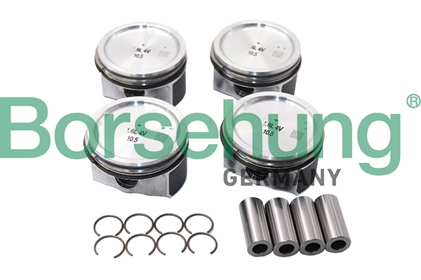 BORSEHUNG B13576