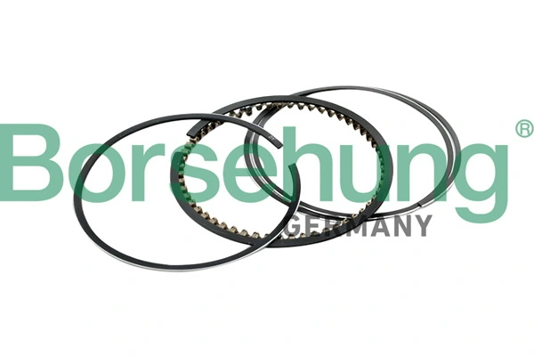 BORSEHUNG B10367
