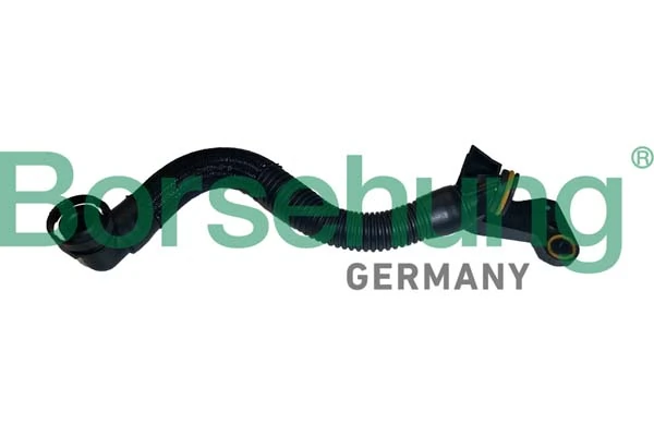 BORSEHUNG B12435