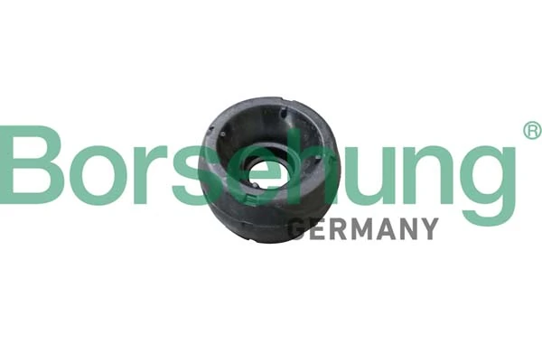 BORSEHUNG B16172