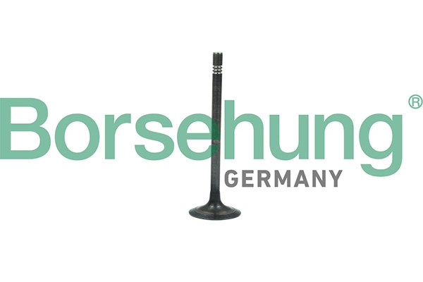 BORSEHUNG B19006