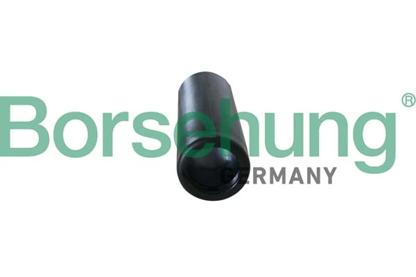 BORSEHUNG B10151