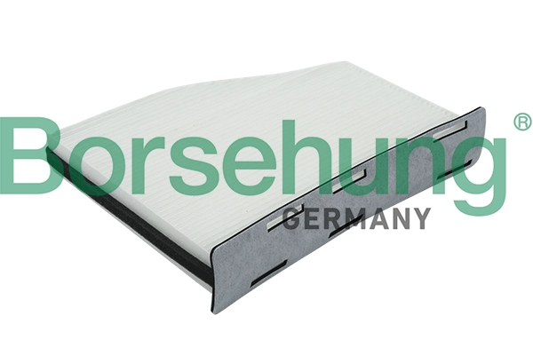 BORSEHUNG B12798