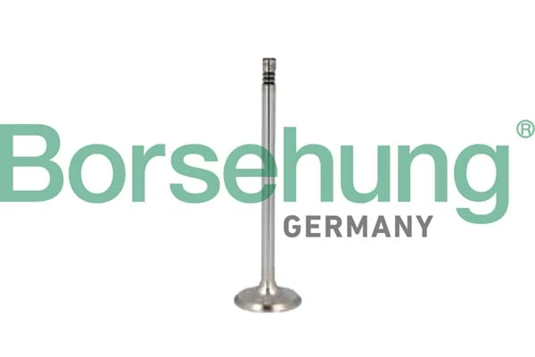 BORSEHUNG B10352
