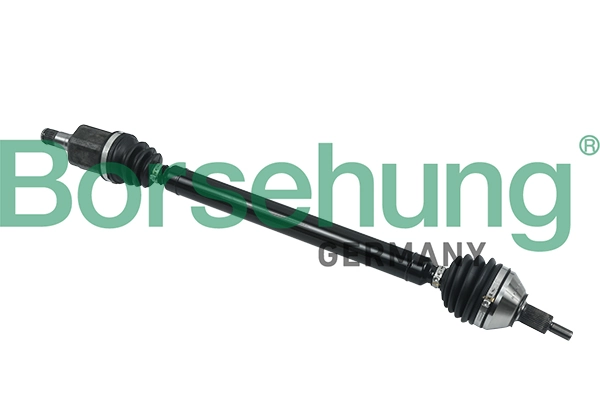 BORSEHUNG B18404