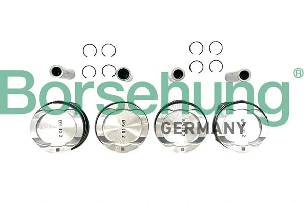 BORSEHUNG B11136