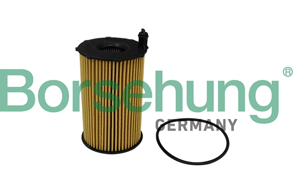 BORSEHUNG B10540