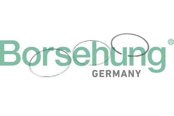 BORSEHUNG B10368
