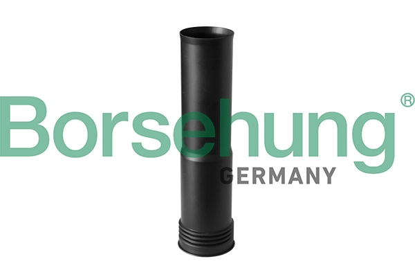 BORSEHUNG B10155