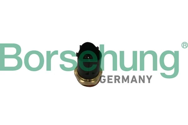 BORSEHUNG B13129