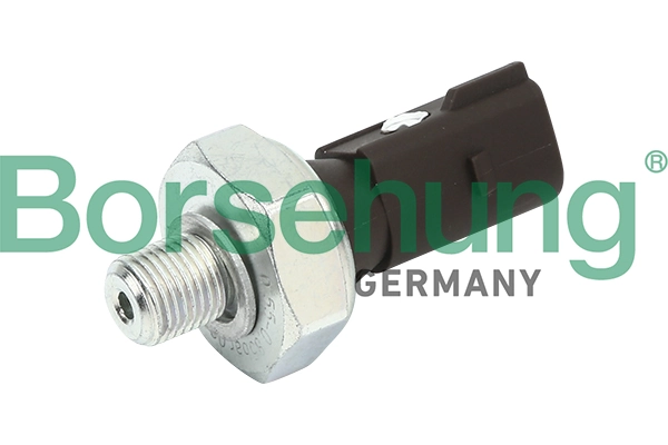 BORSEHUNG B13137
